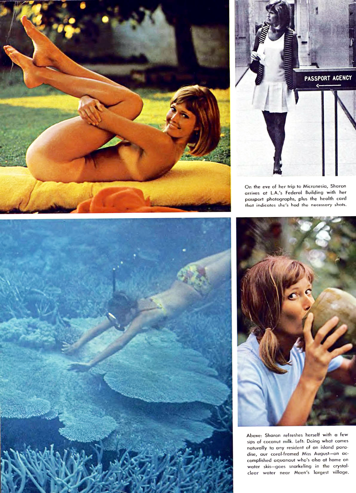 Playboy Playmate Sharon Clark in Playmate of the Month pictorial