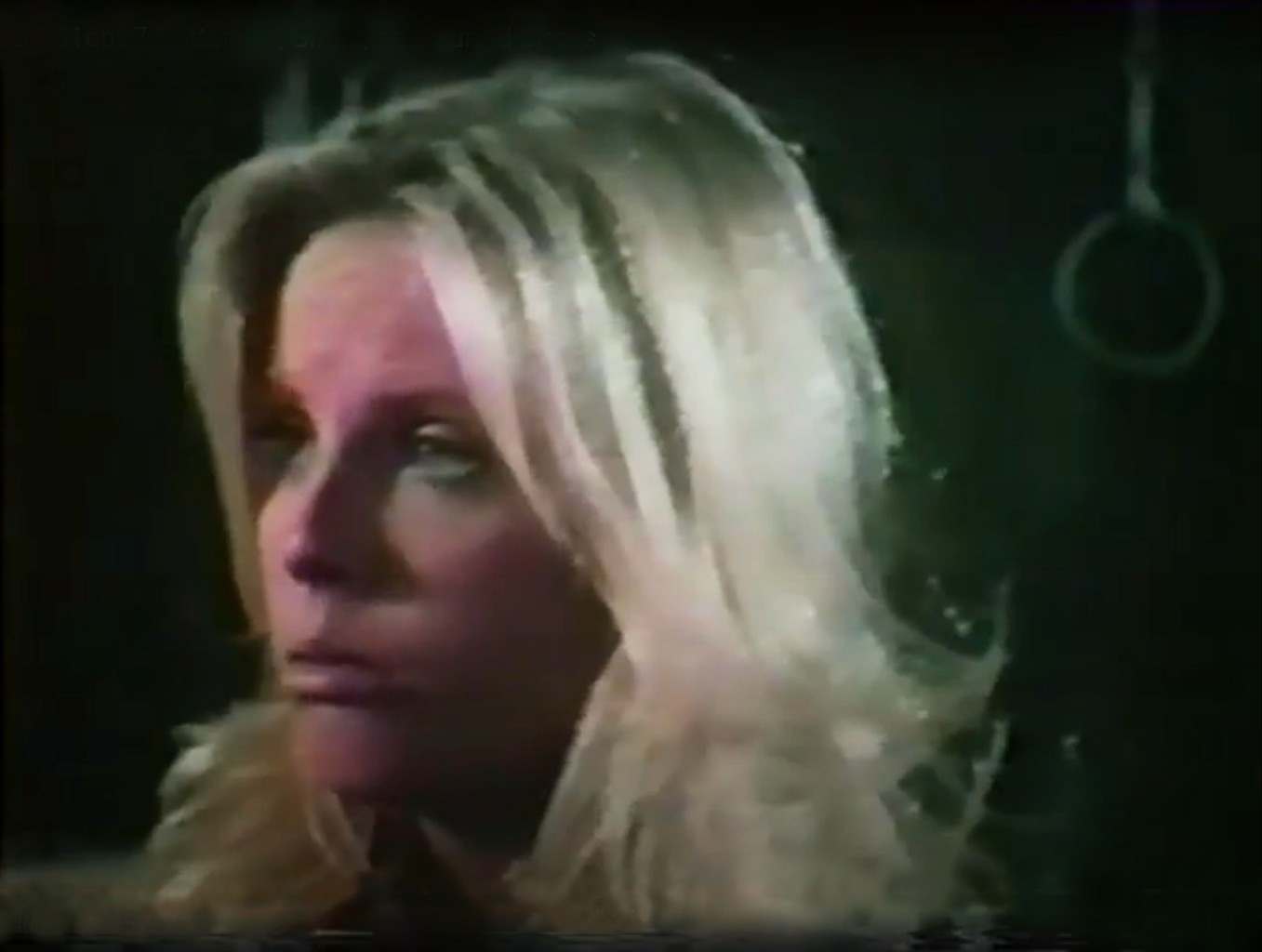 Pamela Jean Bryant on The Misadventures of Sheriff Lobo