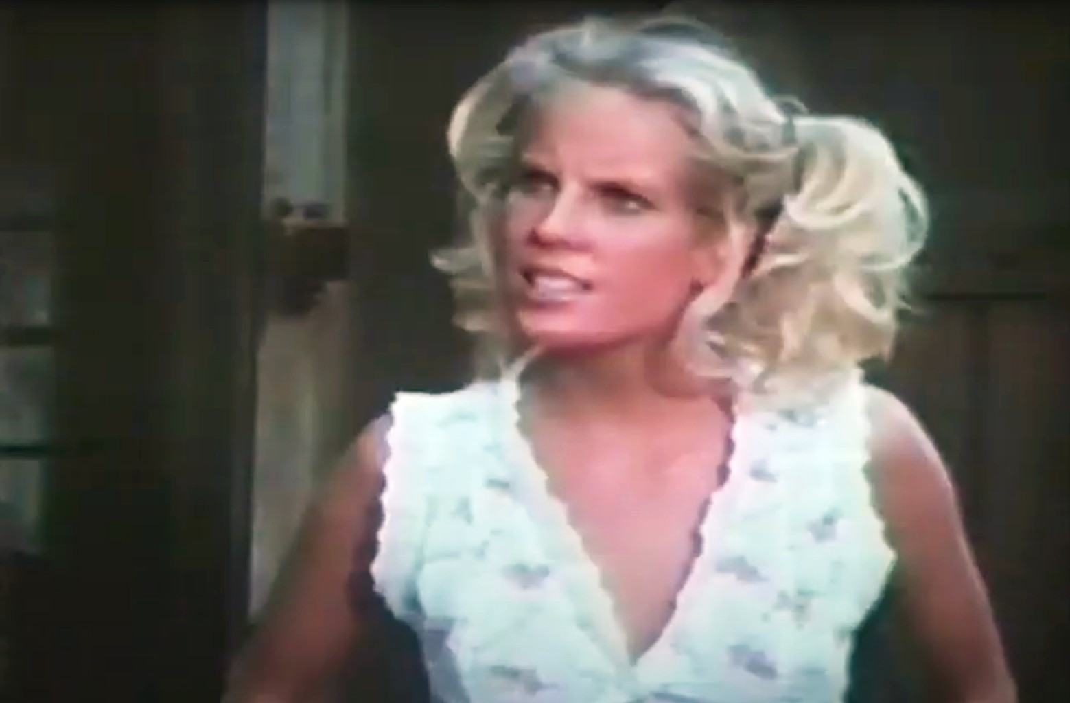 Pamela Jean Bryant on The Misadventures of Sheriff Lobo